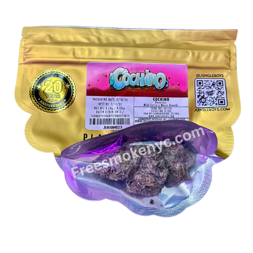Jungle Boys Cochino hybrid cannabis buds and packaging on a transparent background