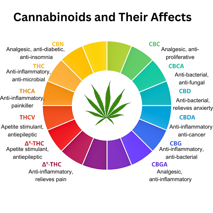 Understanding Cannabinoids: Their Role in Cannabis and Effects on Consumers