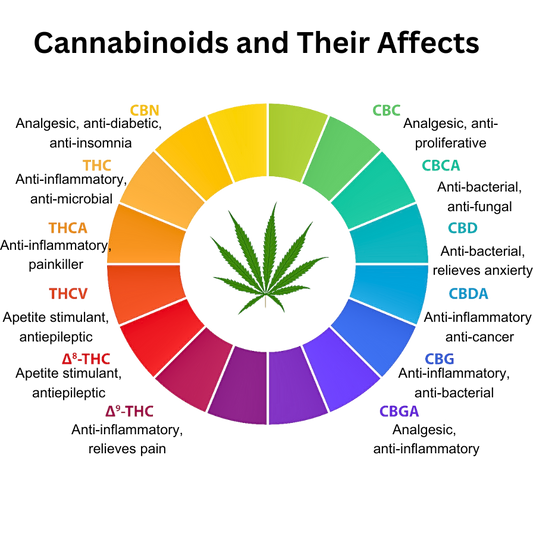 Understanding Cannabinoids: Their Role in Cannabis and Effects on Consumers