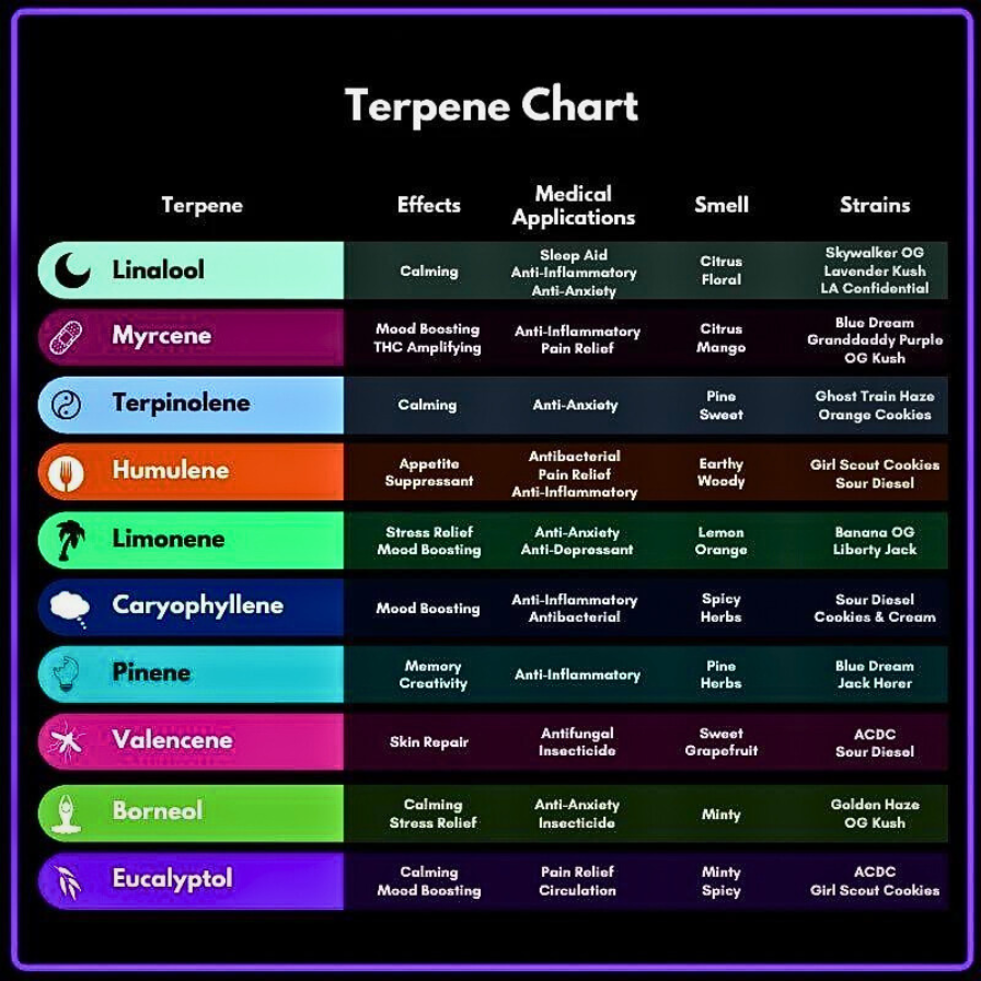 common terpenes found in cannabis