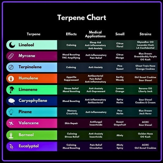 common terpenes found in cannabis