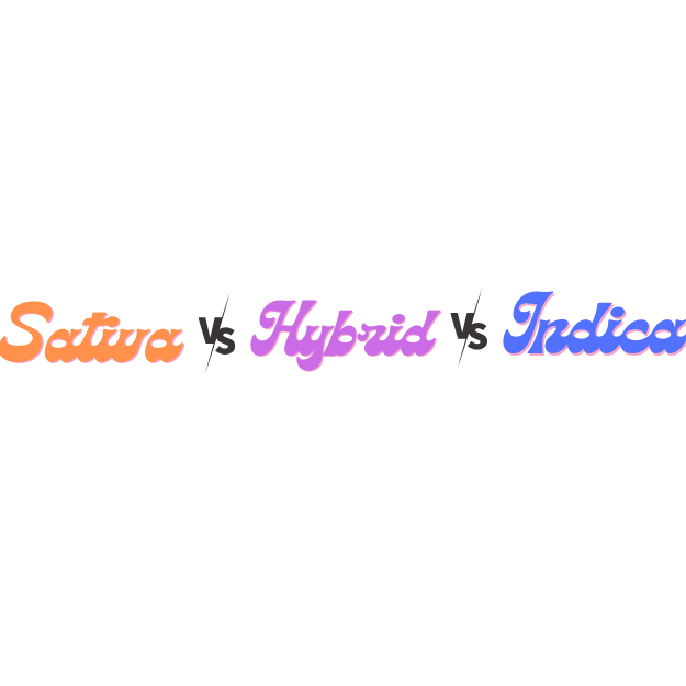 SATIVA Vs. HYBRID Vs. INDICA