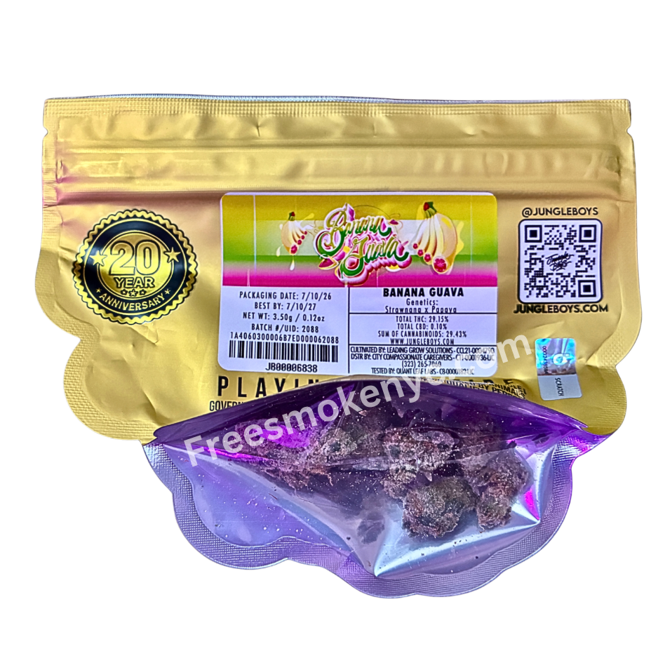 Jungle Boys Banana Guava hybrid cannabis bud and packaging on a transparent background 