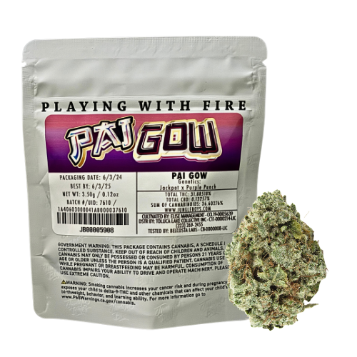 JUNGLE BOYS "PAI GOW" CANNABIS FLOWER