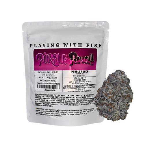 JUNGLE BOYS "PURPLE PUNCH" CANNABIS FLOWER; HYBRID STRAIN 