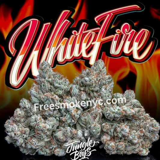 JUNGLE BOYS "WHITE FIRE #43" CANNABIS FLOWER