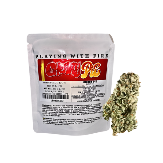 JUNGLE BOYS "CHERRY PIE" CANNABIS FLOWER; HYBRID STRAIN 