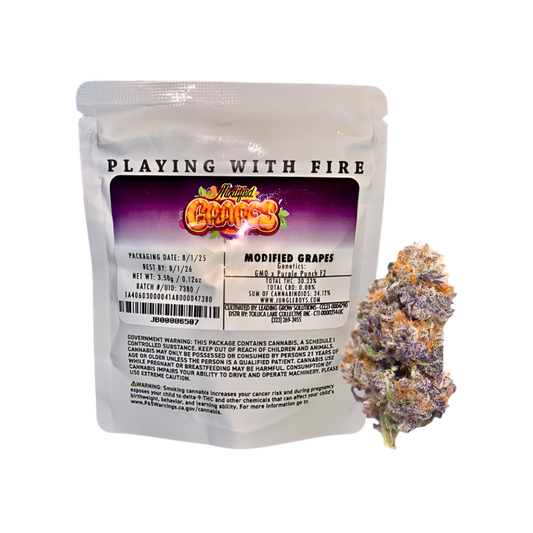 JUNGLE BOYS "MODIFIED GRAPES" CANNABIS FLOWER; HYBRID STRAIN 