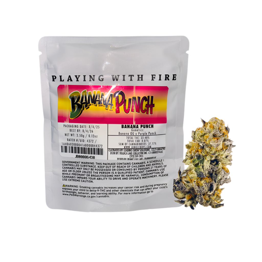 JUNGLE BOYS "BANANA PUNCH" CANNABIS FLOWER; HYBRID STRAIN 