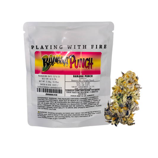 JUNGLE BOYS "BANANA PUNCH" CANNABIS FLOWER; HYBRID STRAIN 