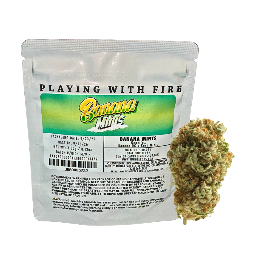 JUNGLE BOYS “BANANA MINTS" CANNABIS FLOWER; HYBRID STRAIN 