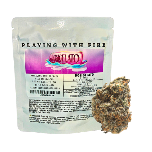 Jungle Boys Dosigelato hybrid cannabis flower on transparent background