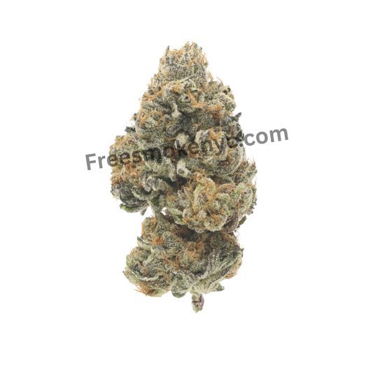 710 Labs cannabis flower Rick Jamez #3 Hybrid strain cannabis flower on a transparent background 