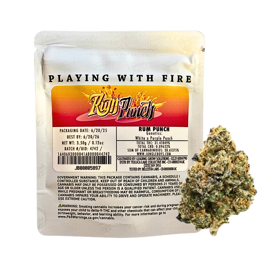 JUNGLE BOYS "RUM PUNCH" CANNABIS FLOWER; HYBRID STRAIN