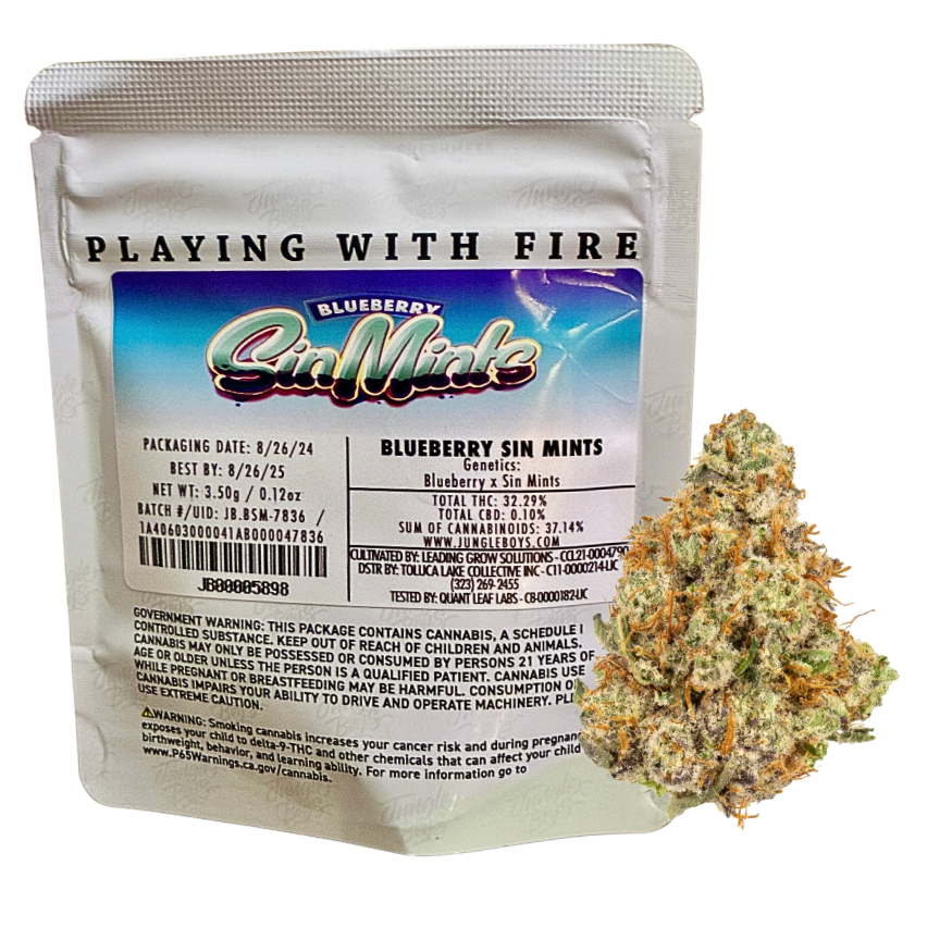 Jungle Boy Blueberry Sin Mints cannabis flower on transparent background