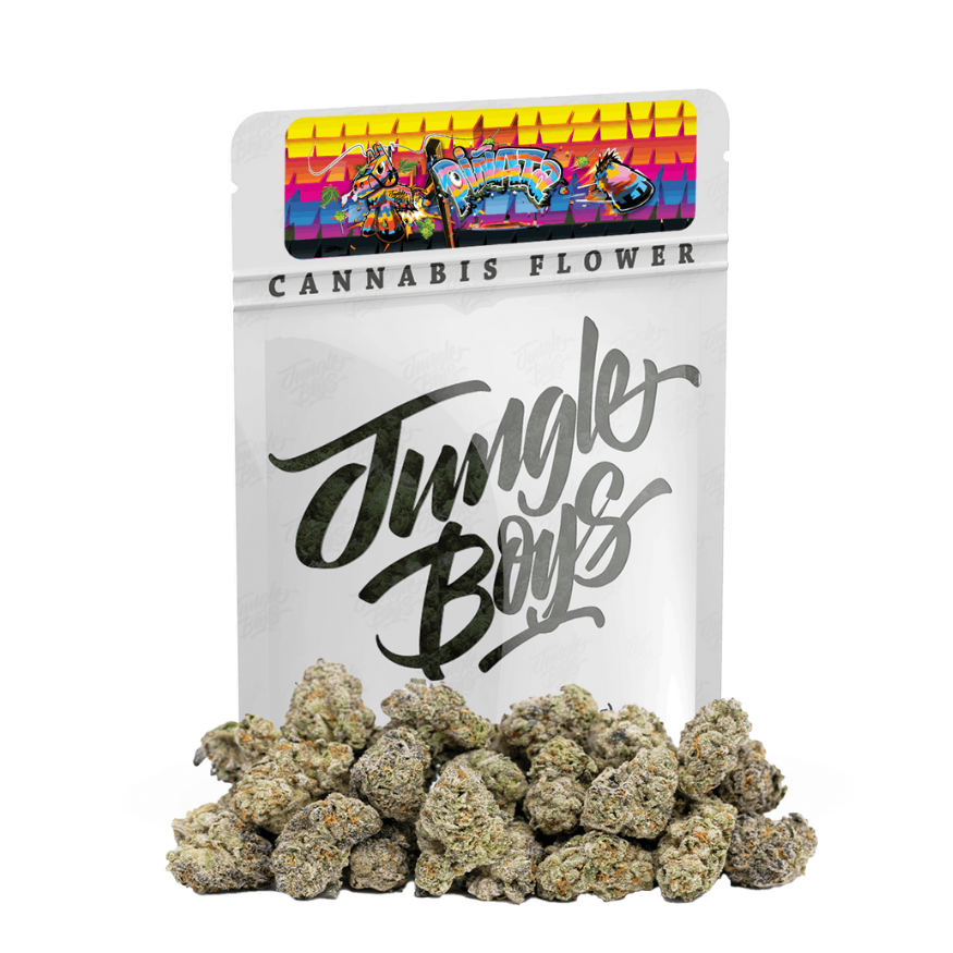 Jungle Boys Piñata hybrid cannabis flower 3.5g