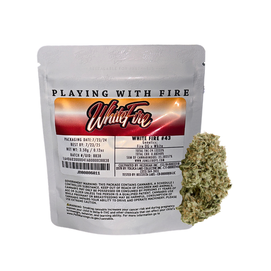 Jungle Boys White Fire #43 hybrid cannabis flower 3.5g